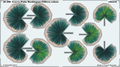 Eduard 36206 Leaves Palm Washington Filifera colour