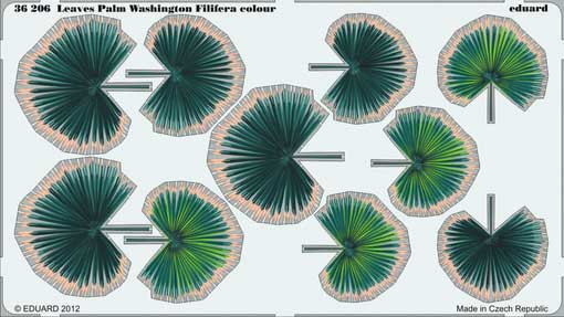 Eduard 36206 Leaves Palm Washington Filifera colour
