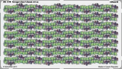 Eduard 36170 Grapevine/vinna reva