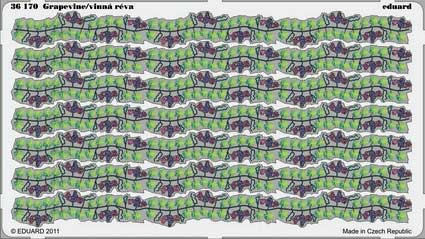Eduard 36170 Grapevine/vinna reva
