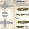 Print Scale 48-169 Curtiss P-40, part 2 (wet decals) 1/48