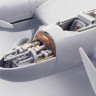 ED48655_8.jpg