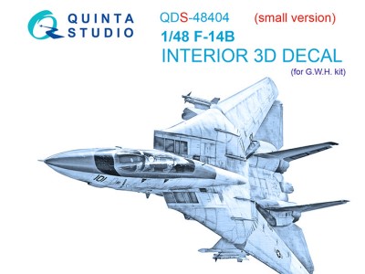 Quinta Studio QDS-48404 F-14B (GWH) (Малая версия) 1/48
