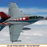 Hasegawa 00960 F-18F VFA-102 HIST 1/72