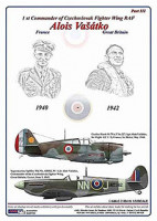 AML AMLC32024 Маски A.Vasatko CZ Fighter Wing RAF Vol.III 1/32