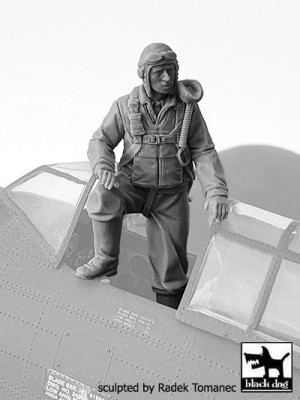 Black Dog F32135 USAAF Fighter pilot 1940-45 No.1 (1 fig.) 1/32