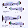 Lf Model C48207 Gloster Gladiator Mk.I over Iraq декали 1/48