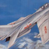Trumpeter 02208 The PLAAF Ft-6 Trainer 1/32