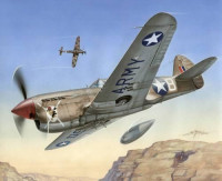 Special Hobby SH72155 P-40 F Warhawk "Short Tails over Africa" 1/72