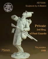 Bleskin miniatures AB75006 Рядовой 3го полка Пешей гвардии Англия 1809 1/24