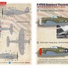 Print Scale 48264 Republic P-47C/P-47D Razorback Robert S. Jonson Part 2 1/48