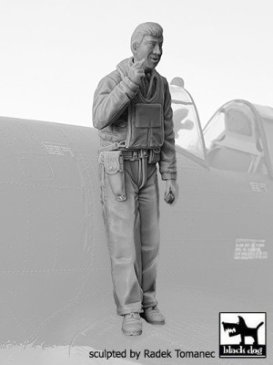 Black Dog F32136 USAAF Fighter pilot 1940-45 No.2 (1 fig.) 1/32