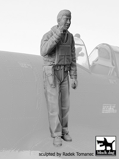 Blackdog F32136 USAAF Fighter pilot 1940-45 No.2 (1 fig.) 1/32