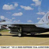 Hasegawa 00881 F-14B Tomcat (VF-11 "Red Rippers" 75th Anniversary) 1/72