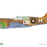 Eduard R0024 P-40K Warhawk DUAL COMBO (ROYAL CLASS) 1/48