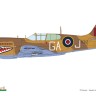 Eduard R0024 P-40K Warhawk DUAL COMBO (ROYAL CLASS) 1/48