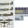 Dk Decals 48P02 Keith W. Truscott and his aircraft (3x camo) 1/48