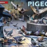 Miniart 38036 Pigeons (36 pcs.) 1/35