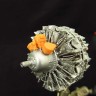 Metallic Details MDR3243 Pratt & Whitney R-2800 (3d-printed) 1/32