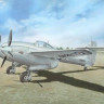 Special Hobby SH72204 Westland Whirlwind Mk. I "Different Whirlwinds 1/72