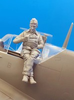 Aims AIMS32F002 Hans Joachim Marseille 1/32