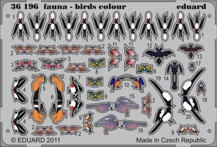 Eduard 36196 fauna - birds colour