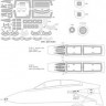 New Ware NWA-M0509 1/48 Mask F-14D Tomcat EXPERT (TAM 61118)