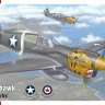 Special Hobby S72529 P-40E Warhawk 'Tigers and Sharks' 1/72