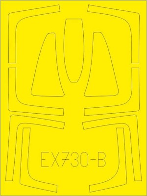 Eduard EX730 Mask 1/48 F-14A TFace (TAM)