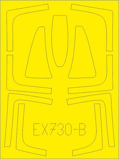 Eduard EX730 Mask 1/48 F-14A TFace (TAM)