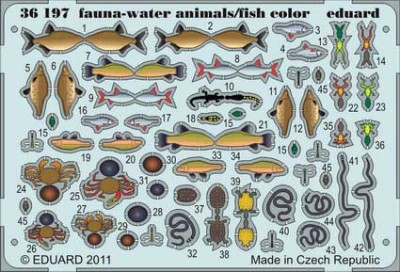 Eduard 36197 fauna - water animals/fish