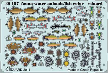Eduard 36197 fauna - water animals/fish