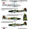 Foxbot Decals FBOT48053 Flying Revenge: Ilyushin IL-2 (early type), Part I 1/48