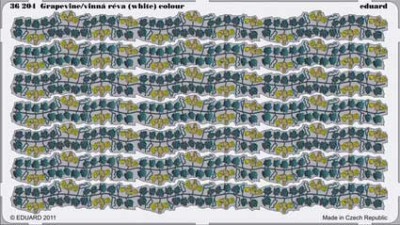 Eduard 36204 Grapevine/vinna reva (white) colour (Future release)