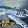Eduard 01180 P-47D 1:48: Jugs over Italy