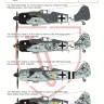 Art Scale 200-D48075 Focke-Wulf Fw-190A part 1 - Butcherbirds. Jagdgruppe JG 3 Rammjager. Catalog no. 200-D48075 1/48
