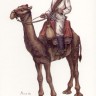 НАТ 8193 Egyptian Camel Corps 1/72