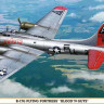 Hasegawa 00907 B-17G Flying Fortress ("Blood'n Guts") 1/72