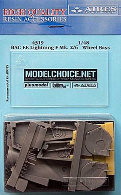 Aires 4319 BAC EE Lightning F Mk. 2/6 wheel bay 1/48