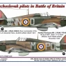 AML AMLC144016 Decals Czechoslovak pilots in Battle of Brit 1/144