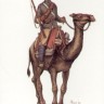 НАТ 8194 British Camel Corps 1/72