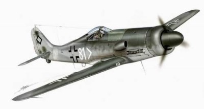 Planet Models PLT173 Focke Wulf Fw 190 D-11 1/72