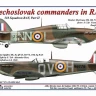 AML AMLC144017 Decals Czechoslovak commanders in RAF 1/144