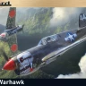 Eduard 82242 P-40N Warhawk (PROFIPACK) 1/48
