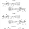 Foxbot Decals FBOT48056 Soviet Missile R-27ER/ET (AA-10 Alamo) & AKU-470 Stencils (Var.2) 1/48