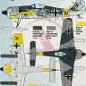 Kora Model CSD7265 Fw 190A-2 Ski - Conversion set & decal 1/72