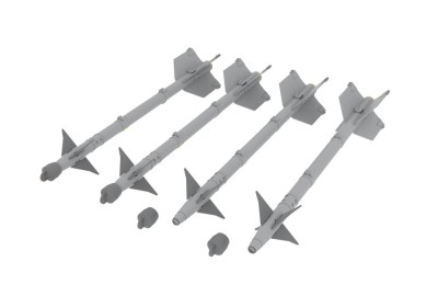 Eduard SIN64881 BIGSIN F-14A late AtA/AtG (TAM) 1/48