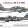 AML AMLC144019 Decals Czechoslovak pilots in Il-2M3's, Part 1/144