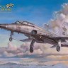AFV Club AR48106 F-5F Tiger II K 1/48