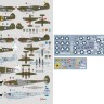 Dk Decals 72133 49th Fighter Group (9x camo) Part I. 1/72